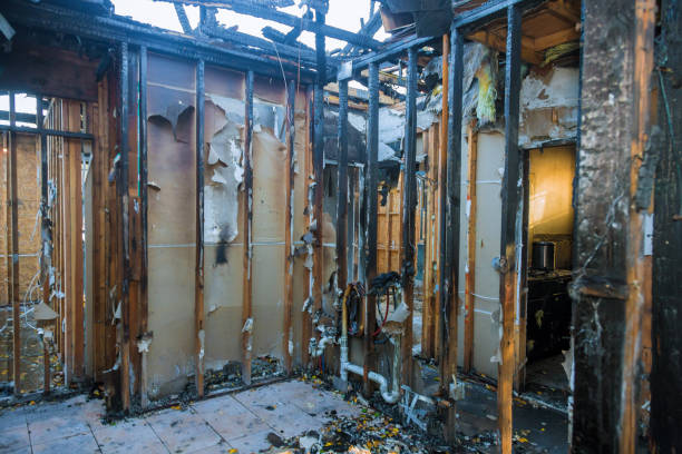 Professional Fire Damage Removal technician working in Seaford, DE